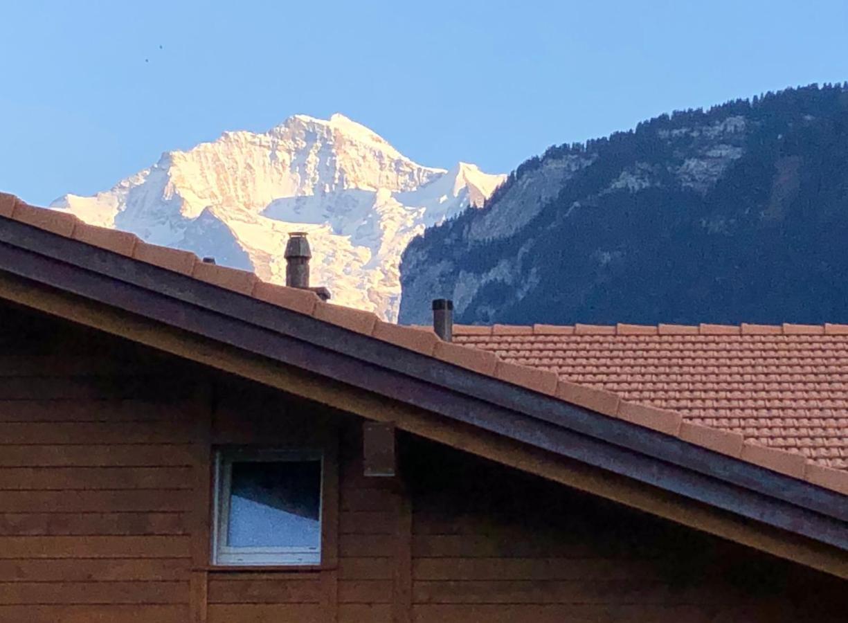 S&P Mountain View Apartment 1 Wilderswil Εξωτερικό φωτογραφία