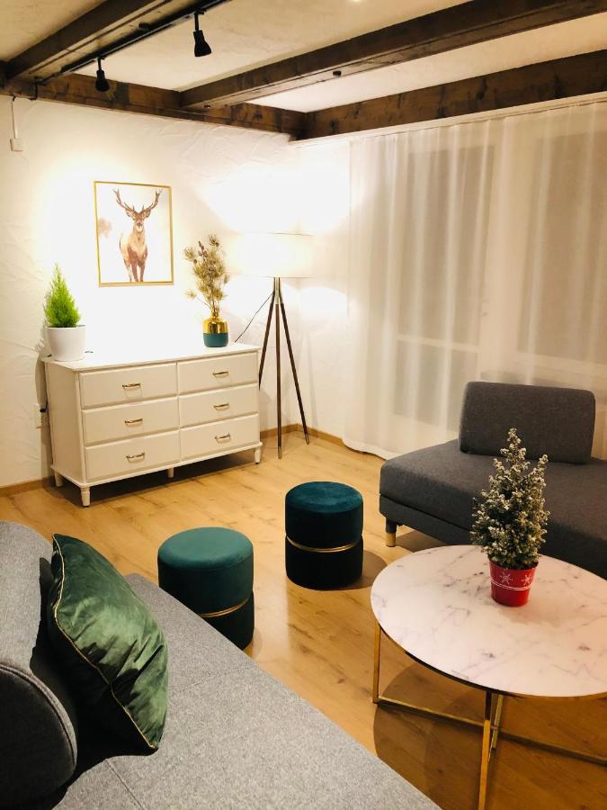 S&P Mountain View Apartment 1 Wilderswil Εξωτερικό φωτογραφία