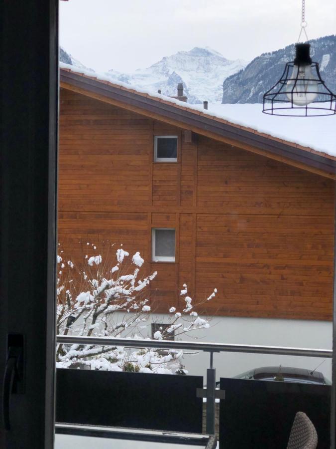 S&P Mountain View Apartment 1 Wilderswil Εξωτερικό φωτογραφία