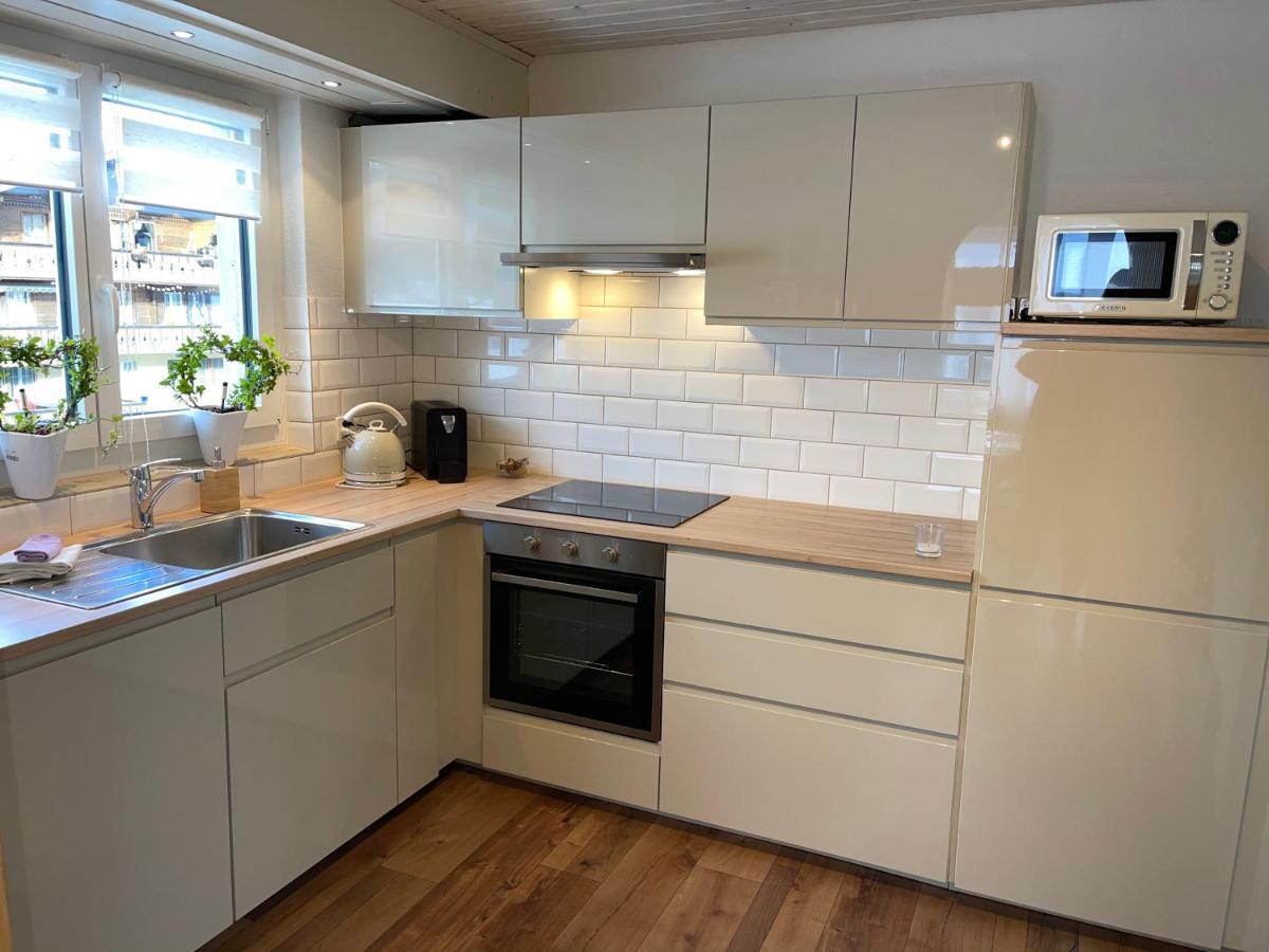 S&P Mountain View Apartment 1 Wilderswil Εξωτερικό φωτογραφία