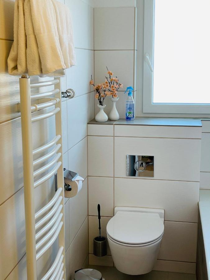 S&P Mountain View Apartment 1 Wilderswil Εξωτερικό φωτογραφία