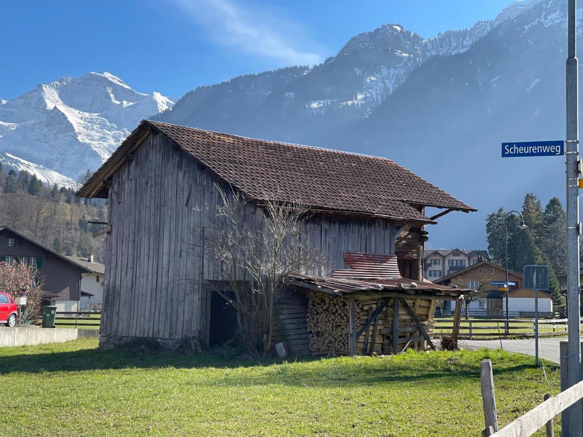 S&P Mountain View Apartment 1 Wilderswil Εξωτερικό φωτογραφία