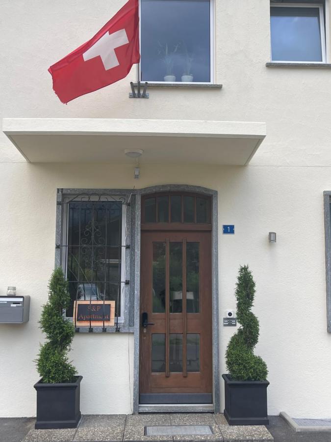 S&P Mountain View Apartment 1 Wilderswil Εξωτερικό φωτογραφία